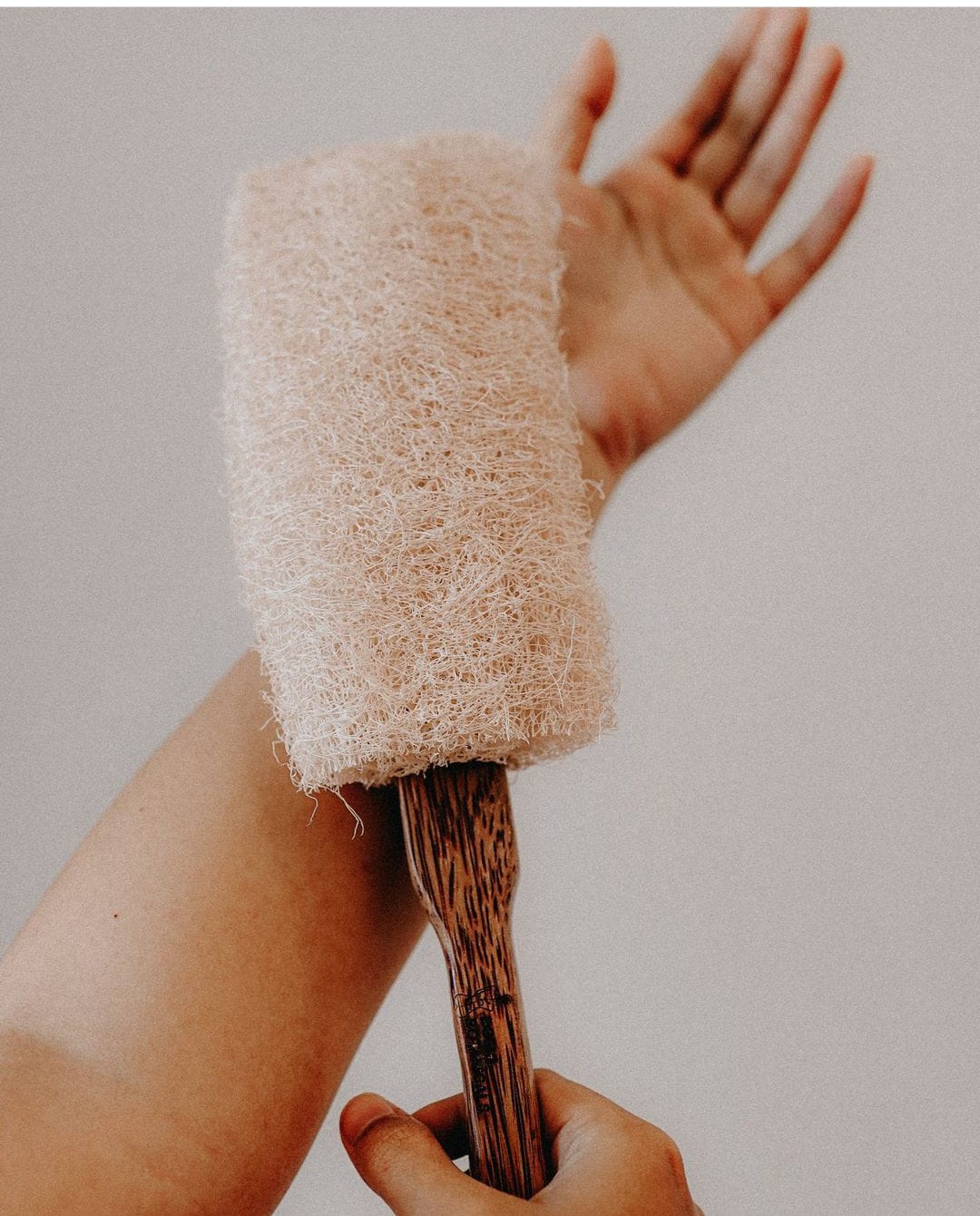 Sustainable Natural Exfoliate  That Your Skin Will Love : Sponge-Dried Loofah