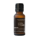Ginger Essentials Oil BOEMI Botanicals