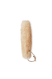 Sustainable Natural Sponge Dried Loofah Pumpkin - Single Boemi Botanicals